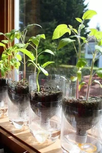 自制便攜收納盒,你家閑置的飲料瓶還能做這些？！